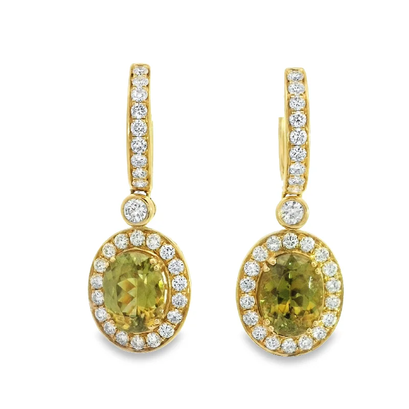 Shiny gold earrings-14 Karat Yellow Miscs Gemstone Earrings