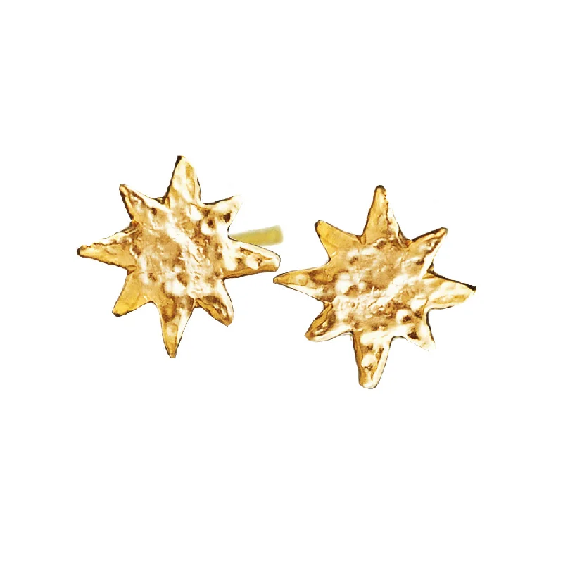 Shiny druzy earrings-Shining Star Studs