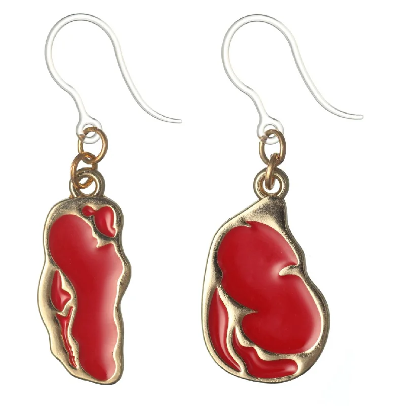 Meat Dangles Hypoallergenic Earrings for Sensitive Ears Made with Plastic Posts